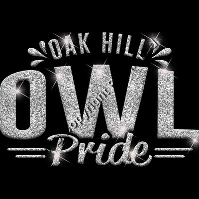 GLT62 SILVER GLITTER Thumbnail